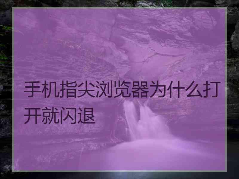 手机指尖浏览器为什么打开就闪退
