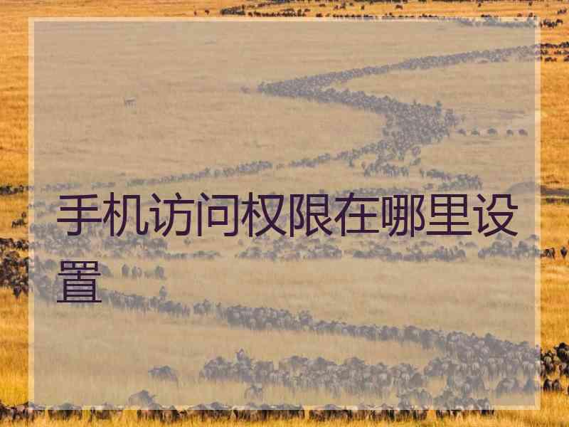 手机访问权限在哪里设置