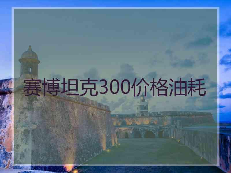 赛博坦克300价格油耗