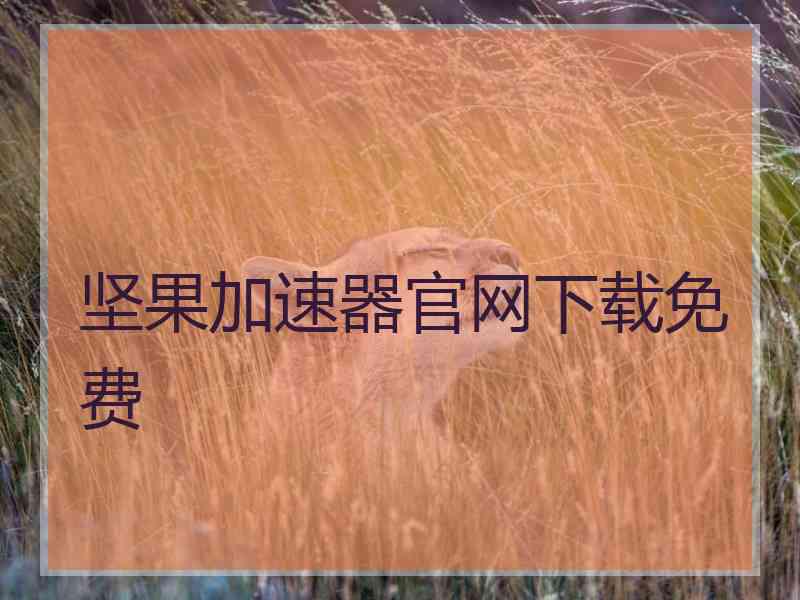 坚果加速器官网下载免费