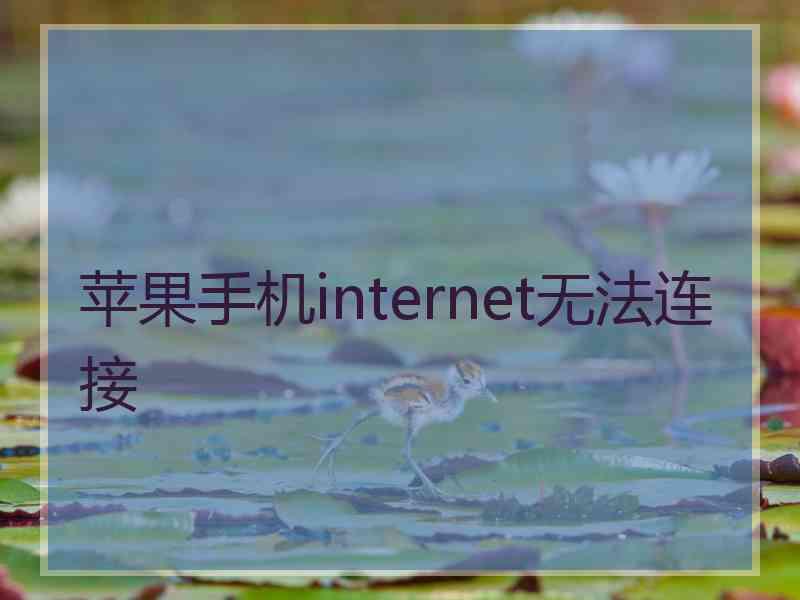 苹果手机internet无法连接