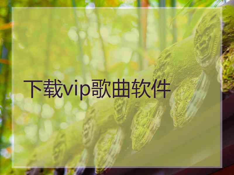 下载vip歌曲软件