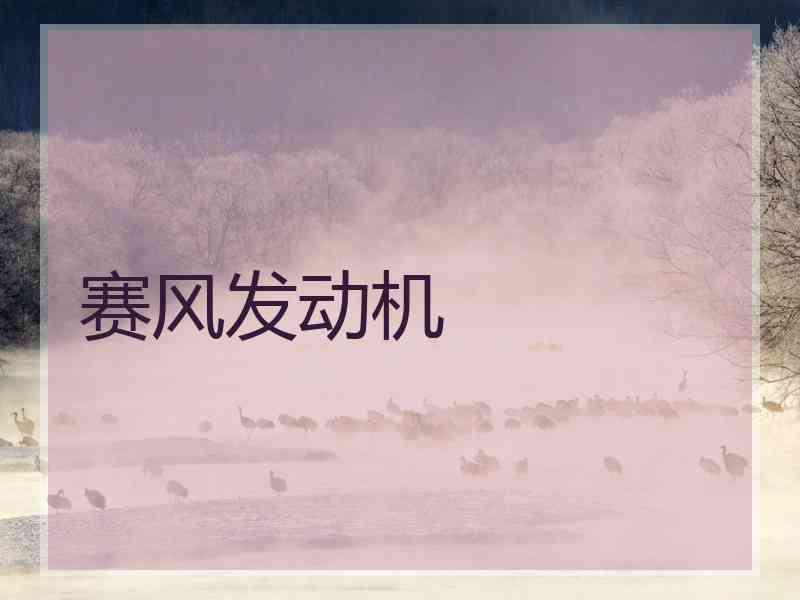 赛风发动机
