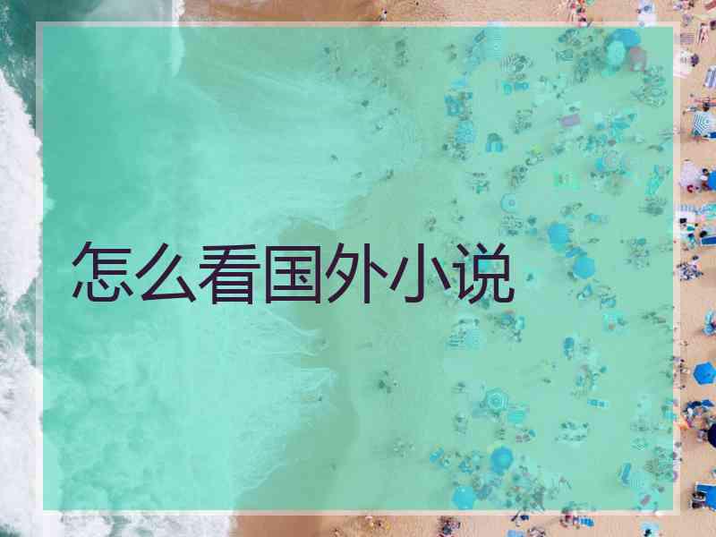 怎么看国外小说