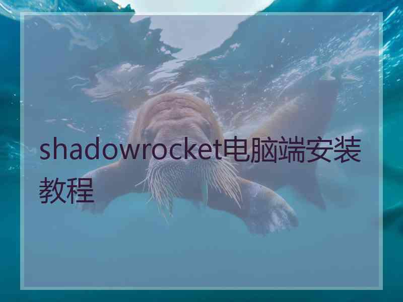 shadowrocket电脑端安装教程