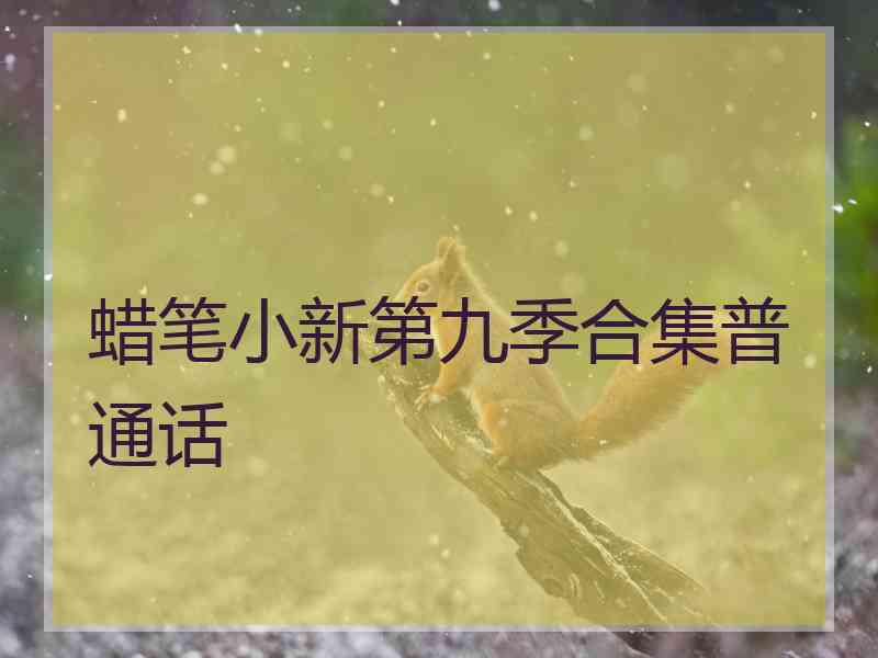 蜡笔小新第九季合集普通话