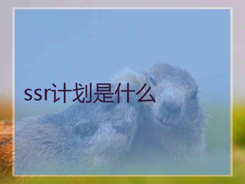 ssr计划是什么