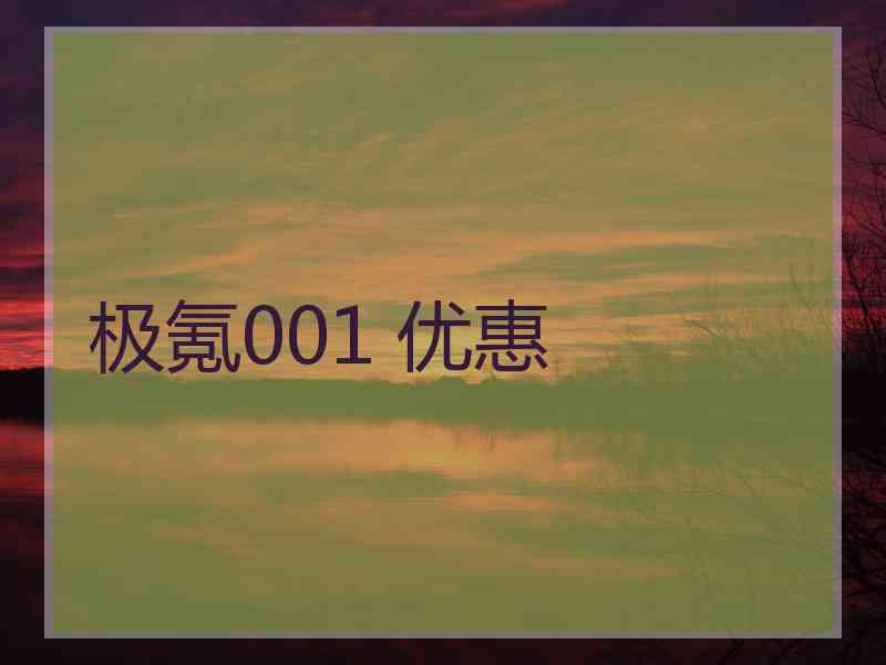 极氪001 优惠