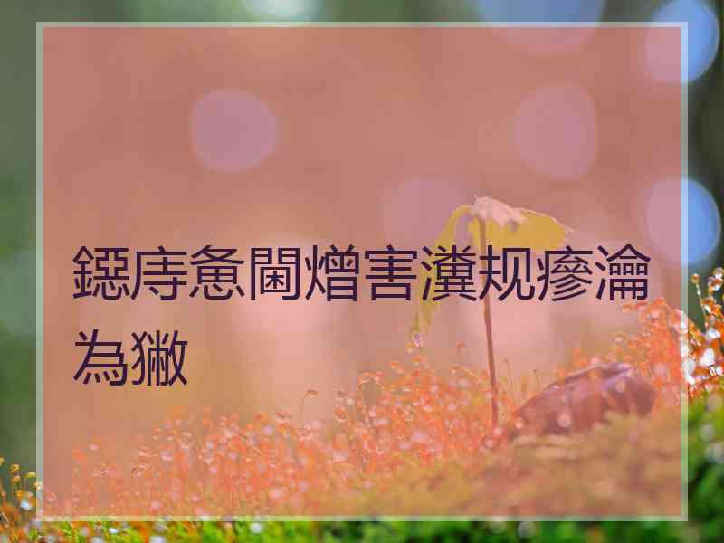 鐚庤惫閫熷害瀵规瘮瀹為獙