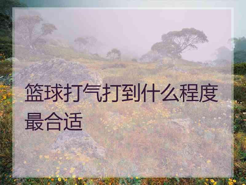 篮球打气打到什么程度最合适