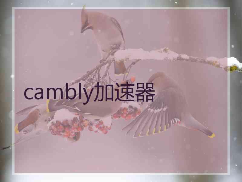 cambly加速器