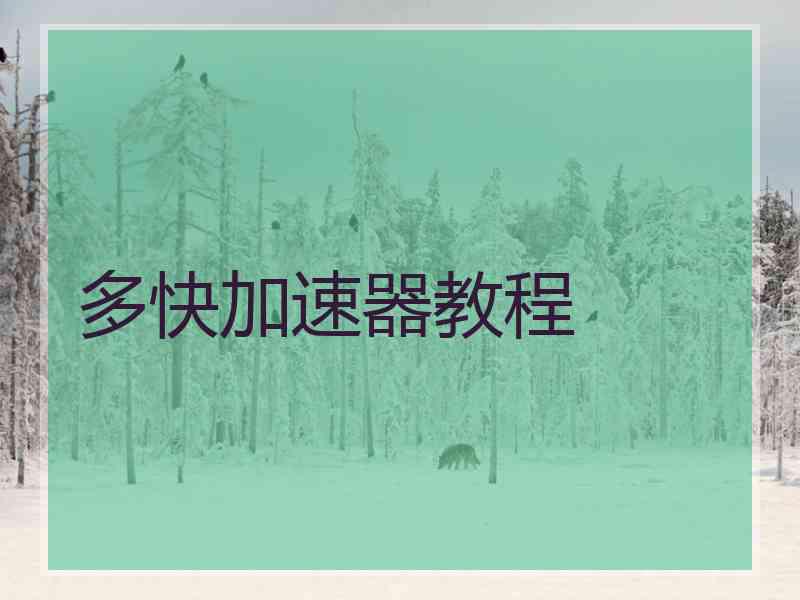 多快加速器教程