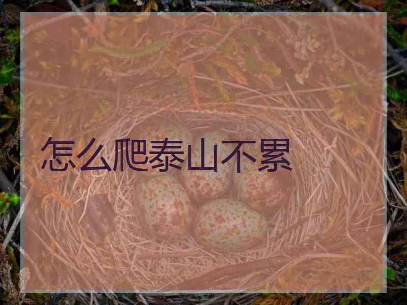 怎么爬泰山不累