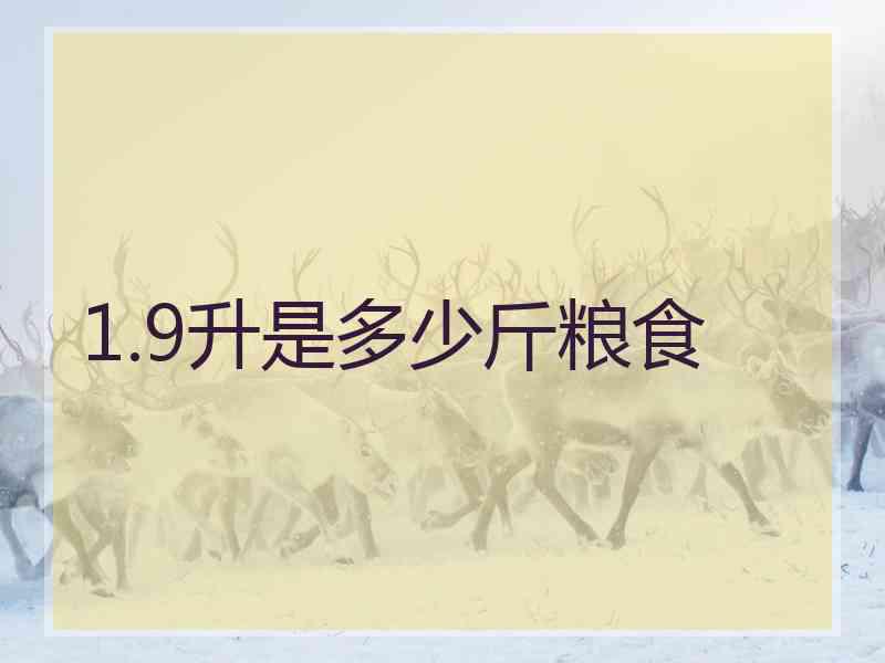 1.9升是多少斤粮食