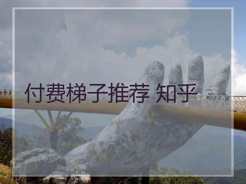 付费梯子推荐 知乎