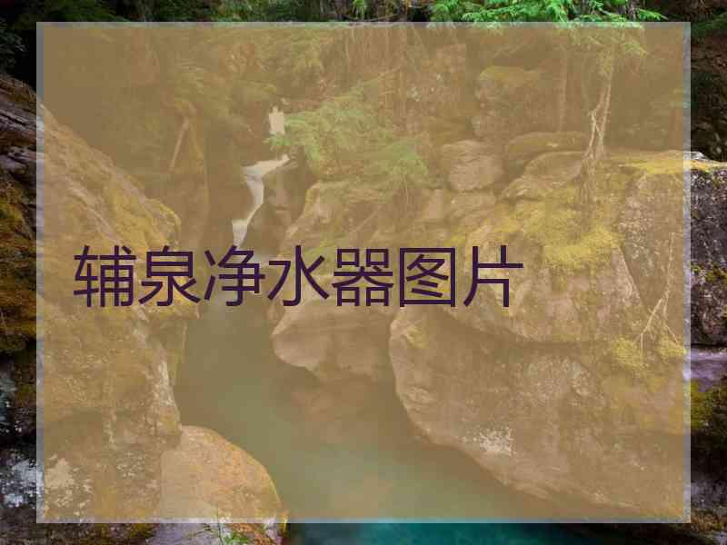 辅泉净水器图片