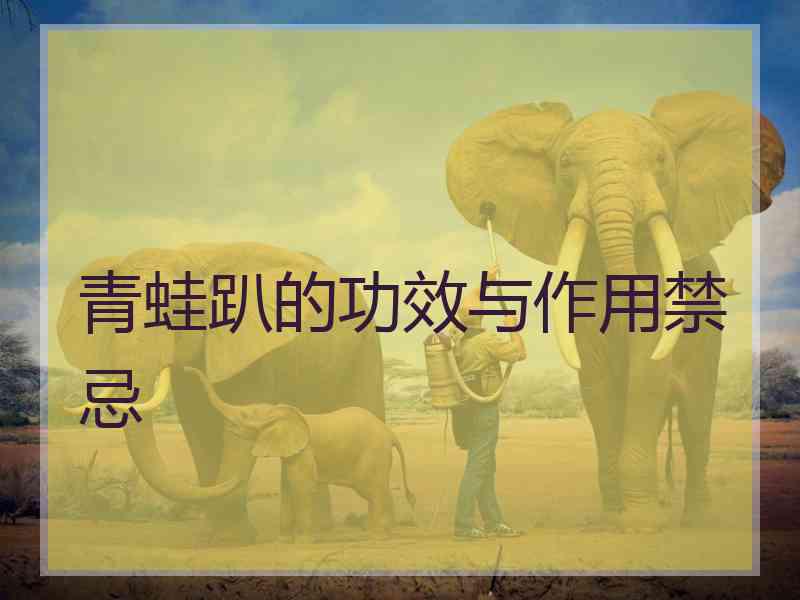 青蛙趴的功效与作用禁忌