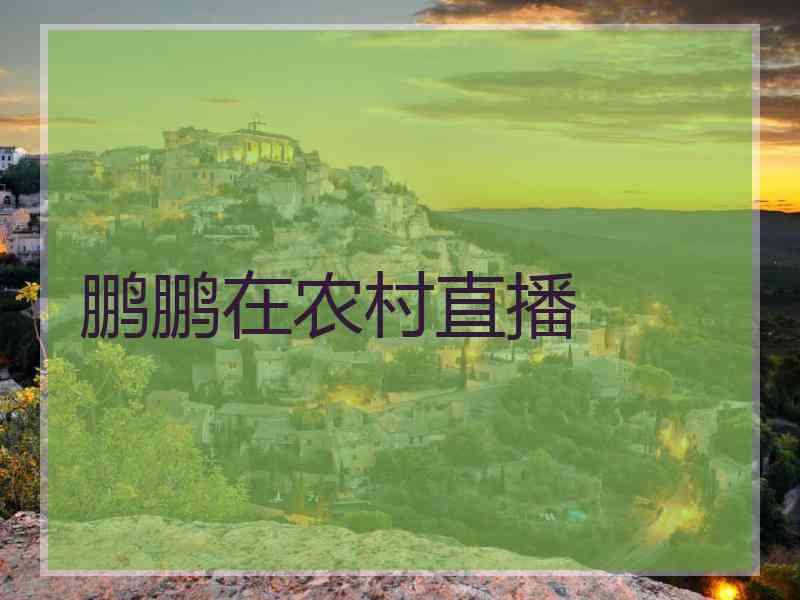 鹏鹏在农村直播