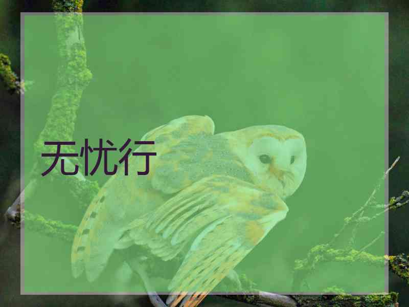无忧行