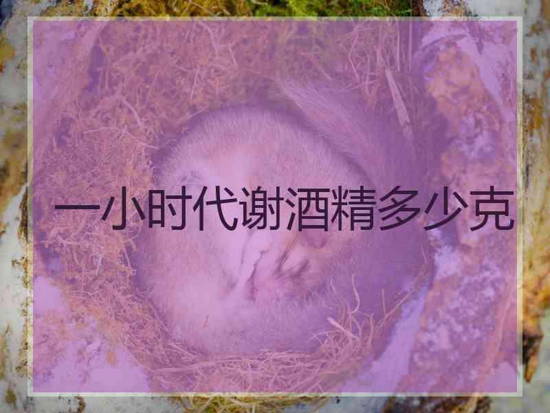 一小时代谢酒精多少克