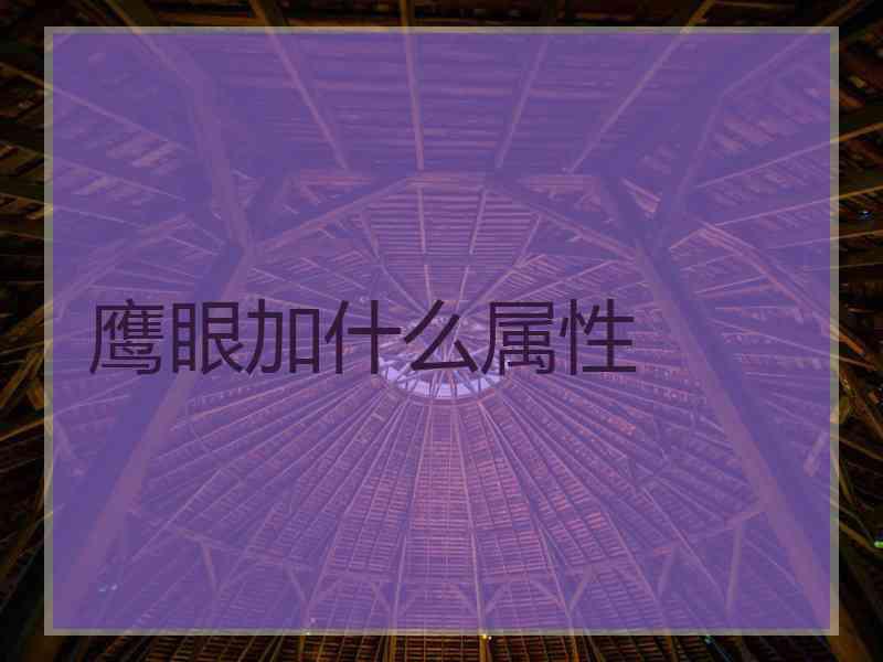 鹰眼加什么属性