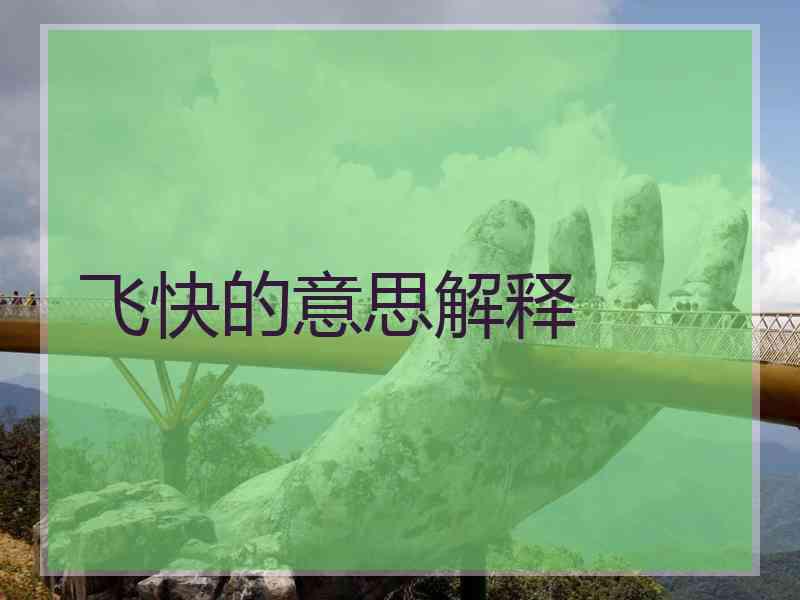 飞快的意思解释