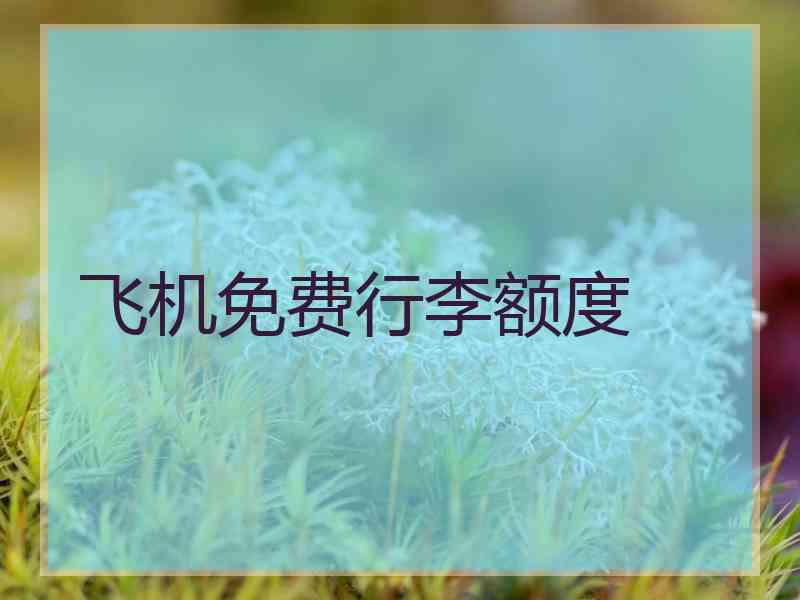 飞机免费行李额度