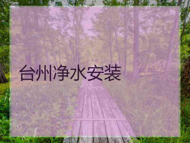 台州净水安装