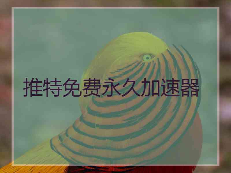 推特免费永久加速器