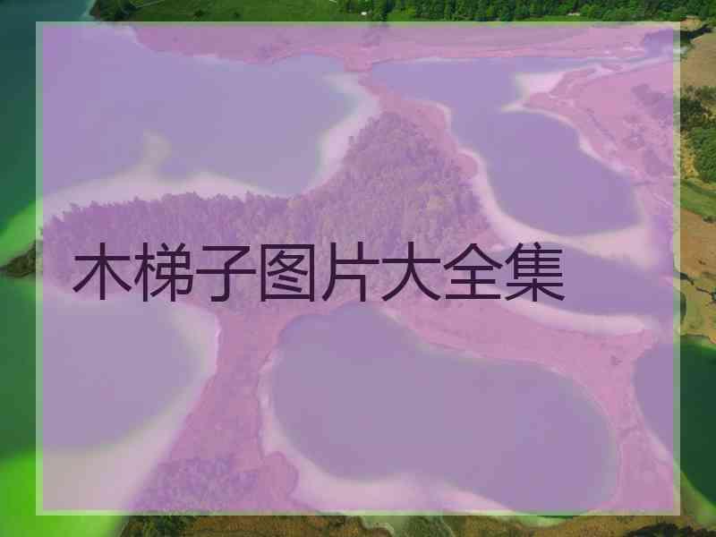 木梯子图片大全集