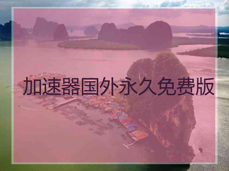 加速器国外永久免费版