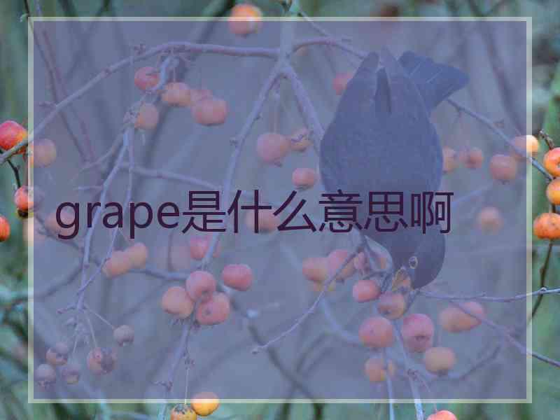 grape是什么意思啊