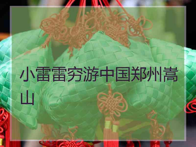小雷雷穷游中国郑州嵩山