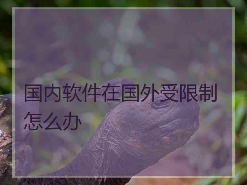国内软件在国外受限制怎么办