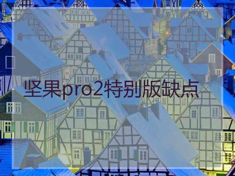 坚果pro2特别版缺点