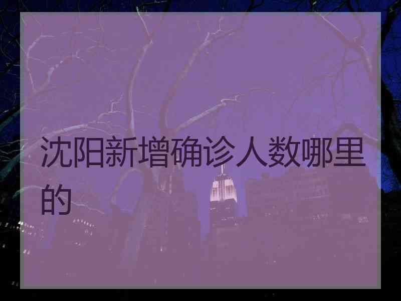 沈阳新增确诊人数哪里的