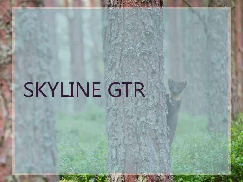 SKYLINE GTR