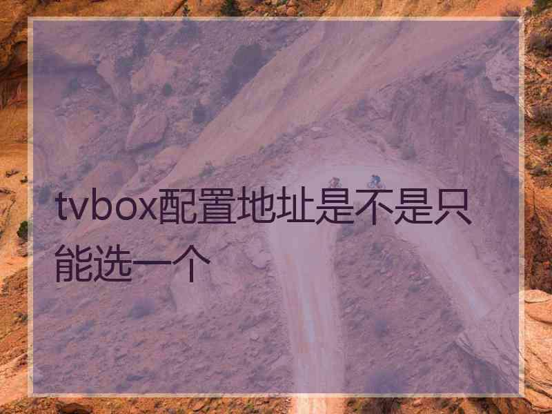tvbox配置地址是不是只能选一个