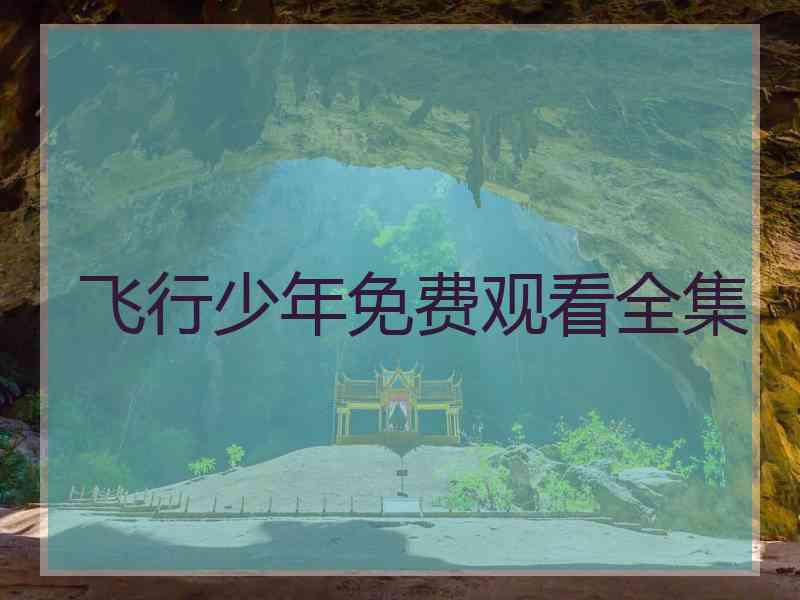 飞行少年免费观看全集