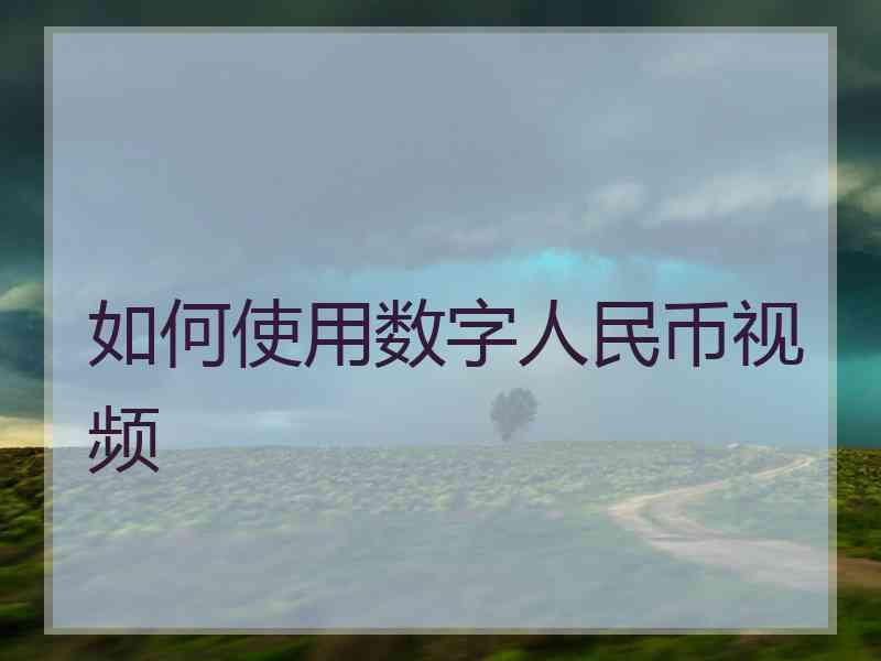 如何使用数字人民币视频