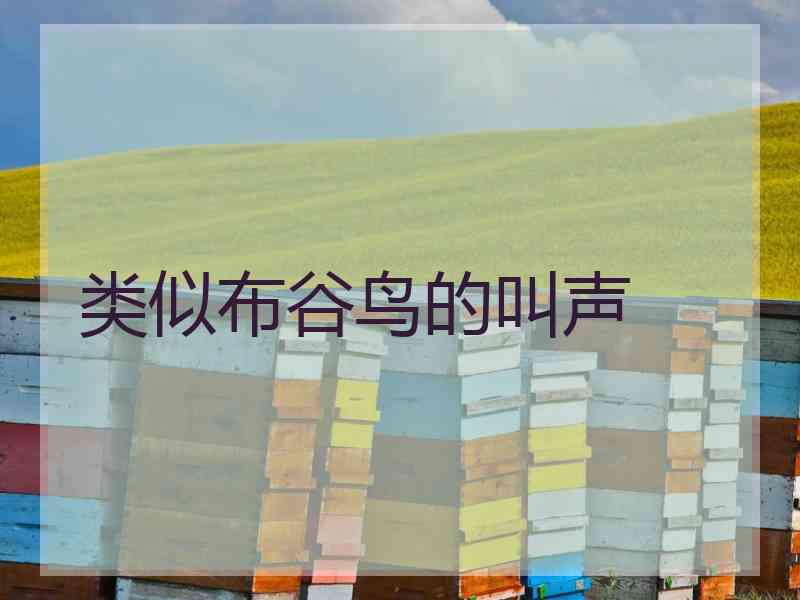 类似布谷鸟的叫声