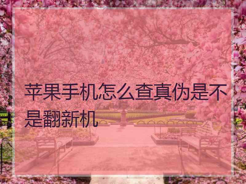 苹果手机怎么查真伪是不是翻新机