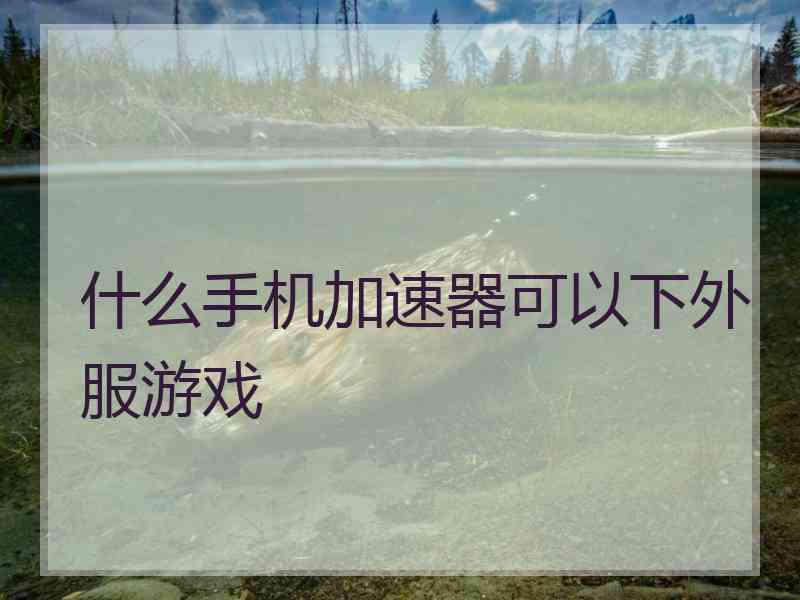 什么手机加速器可以下外服游戏