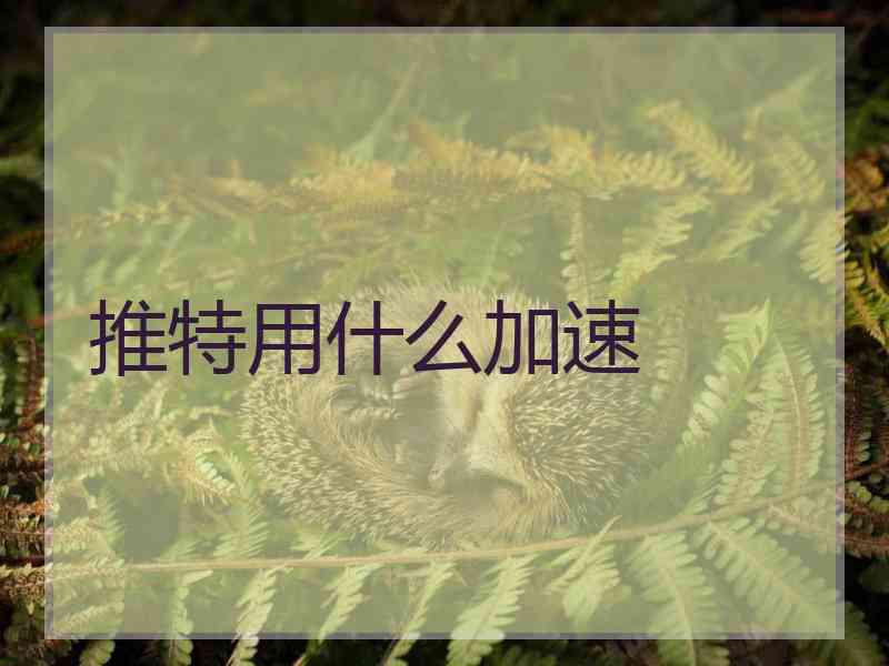 推特用什么加速