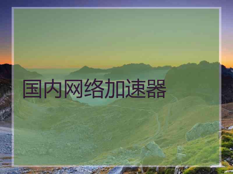 国内网络加速器