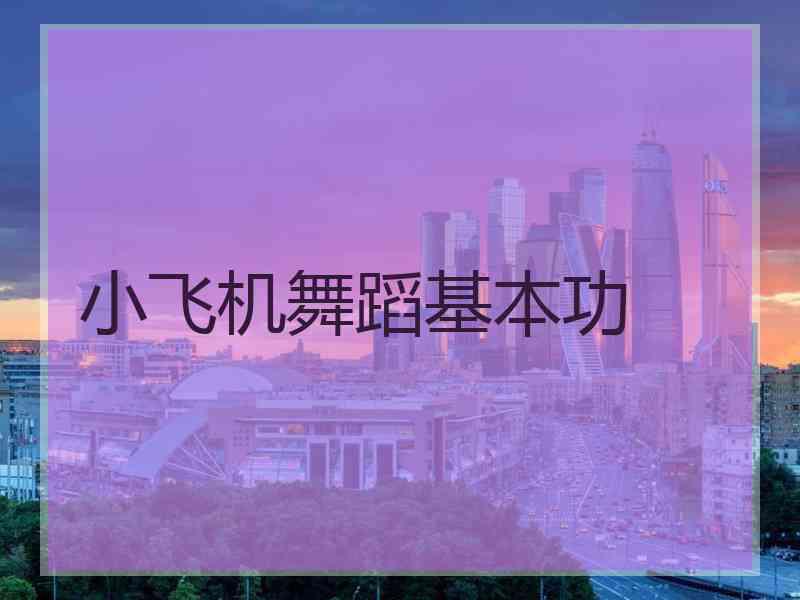 小飞机舞蹈基本功