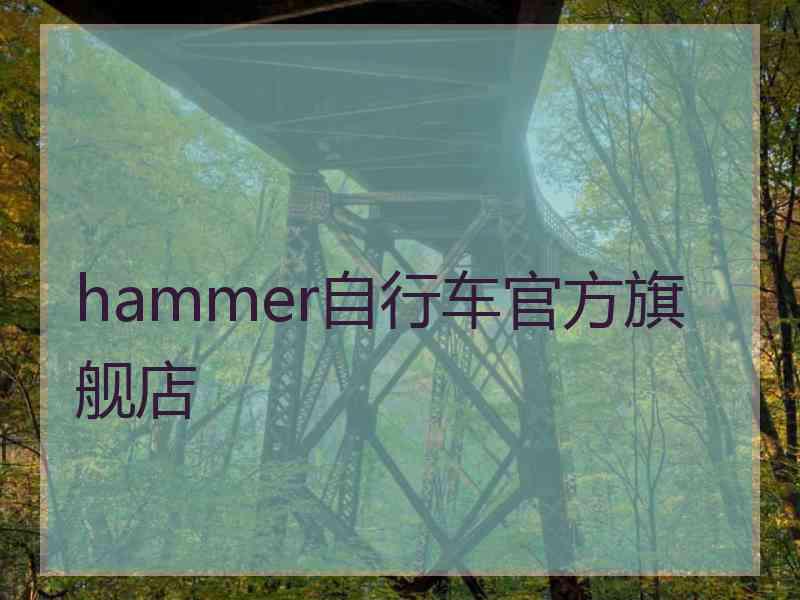 hammer自行车官方旗舰店