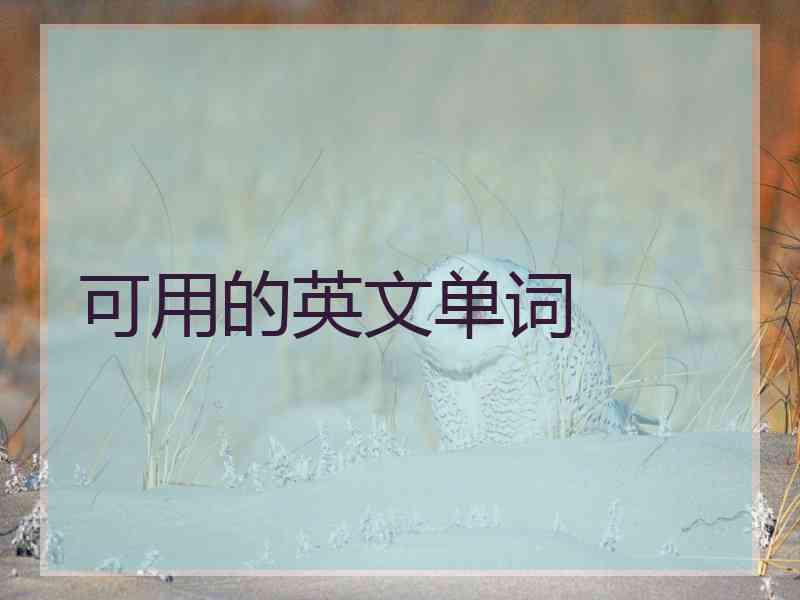 可用的英文单词