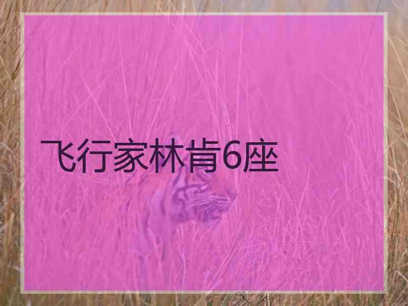飞行家林肯6座
