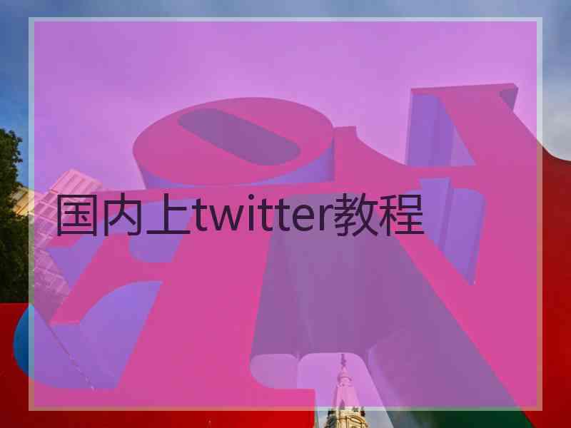 国内上twitter教程